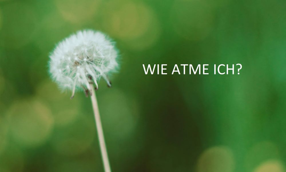 ATEM-BLOG 1. WIE ATME ICH?